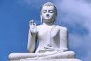 Buddha 7